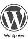 Wordpress CMS Websites Dubai