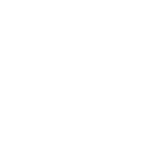 Ecommerce Websites